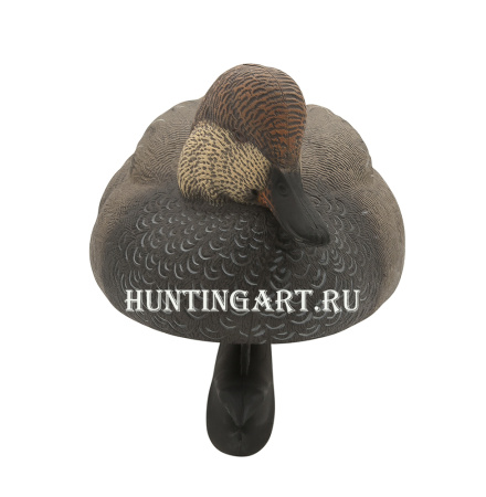 Картинка Комплект Avian-X Topflight Gadwall из 6 чучел серой утки (4 селезня/2 утка) от интернет-магазина ХантингАрт Комплект Avian-X Topflight Gadwall из 6 чучел серой утки (4 селезня/2 утка) купить в магазине Хантингарт