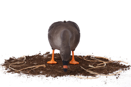 Комплект из 10 шт (6 кормящихся, 2 сторожевых, 2 отдыхающих) сминаемых чучел Гуменника Softplast 3D North Way купить в интернет-магазине ХантингАрт