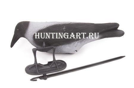 Чучело вороны купить в интернет-магазине ХантингАрт