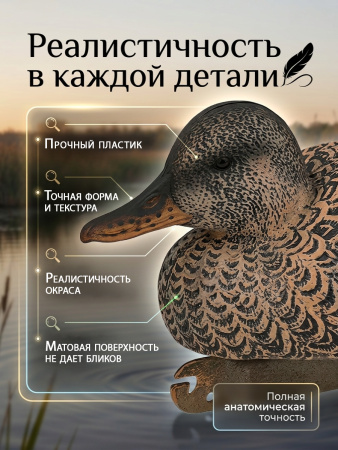 Чучело чирка (утка), комплект 6 шт купить в магазине Хантингарт