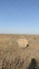 Маскировочная накидка Друид купить в инетрнет-магазине ХантингАрт