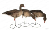 Комплект Greenhead Gear Pro-Grade FFD из 6 полнокорпусных муляжей Белолобого гуся (флок) купить в интернет-магазине ХантингАрт