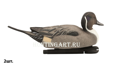 Картинка Комплект Avian-X Topflight Pintails из 6 шт (4 селезня/2 утки) чучел Шилохвости от интернет-магазина ХантингАрт Комплект Avian-X Topflight Pintails из 6 шт (4 селезня/2 утки) чучел Шилохвости купить в магазине Хантингарт