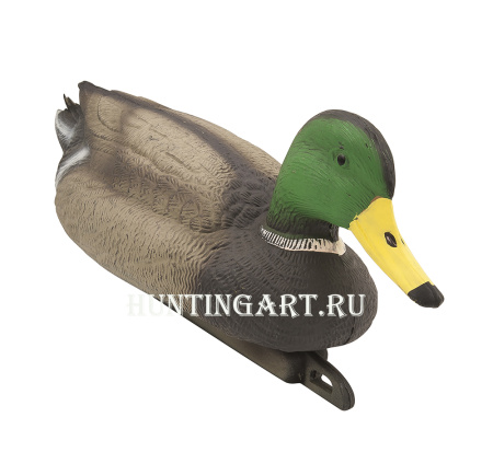 Чучело кряквы плавающей, селезень, Birdland купить в магазине Хантингарт