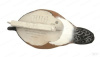 Комплект из 6 муляжей утки Европейская Свиязь GreenHead Gear Pro-Grade (4 утки/ 2 селезня) купить в магазине Хантингарт
