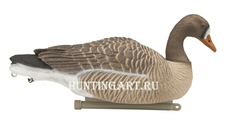 Плавающие чучела Белолобого гуся Floater Speckbelly Goose Oscar Decoys (мягкий пластик), 6 шт в трех позах купить в интернет-магазине ХантингАрт