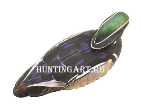 Декоративная Каролинская утка - купить в Санкт-Петербурге