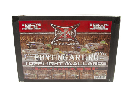 Картинка Комплект Avian-X Early Season Topflight Mallards (ранний сезон) из 6 чучел кряквы (4 селезня/2 утки) от интернет-магазина ХантингАрт Комплект Avian-X Early Season Topflight Mallards (ранний сезон) из 6 чучел кряквы (4 селезня/2 утки) купить в магазине Хантингарт