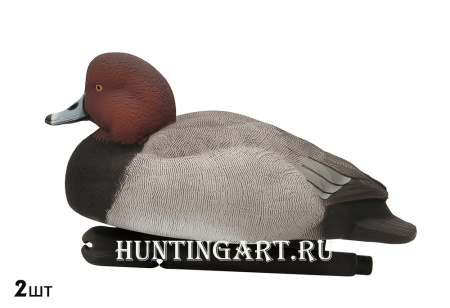 Комплект Avian-X Topflight Readheads из 6 полноразмерных чучел Красноголового нырка купить в магазине Хантингарт