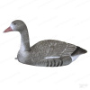 Комплект из 6 чучел Sport Plast (поле-вода) Белолобого гуся купить в интернет-магазине ХантингАрт