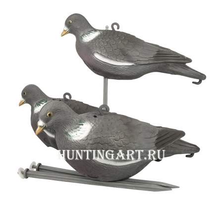 Чучела вяхиря Sport Plast, набор из 3-х голубей купить в интернет-магазине ХантингАрт