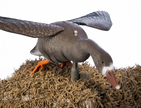 Гусь белолобый летящий Sport Plast купить в интернет-магазине ХантингАрт