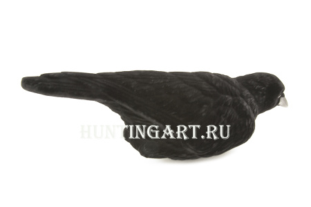 Чучела ворона купить в интернет-магазине ХантингАрт