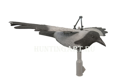 Чучело серой вороны летящее купить в интернет-магазине ХантингАрт
