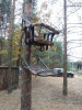 Лабаз-самолаз ShotTime Treestand, не требующий лестницы купить в инетрнет-магазине ХантингАрт