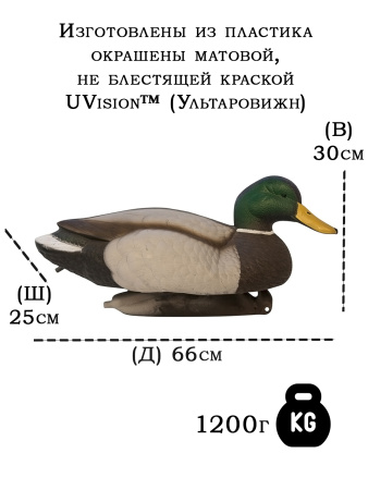 Картинка Чучела кряквы, очень большого размера 3 шт (2 селезня, 1 утка) от интернет-магазина ХантингАрт Чучела кряквы, очень большого размера 3 шт (2 селезня, 1 утка) - купить в Санкт-Петербурге