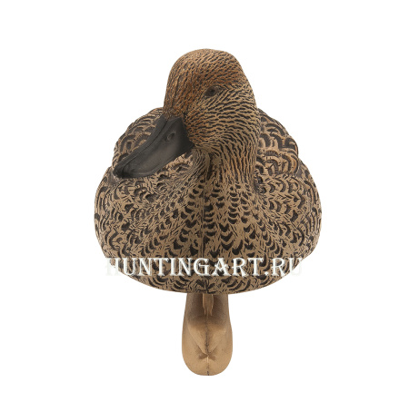 Картинка Комплект Avian-X Topflight Pintails из 6 шт (4 селезня/2 утки) чучел Шилохвости от интернет-магазина ХантингАрт Комплект Avian-X Topflight Pintails из 6 шт (4 селезня/2 утки) чучел Шилохвости купить в магазине Хантингарт