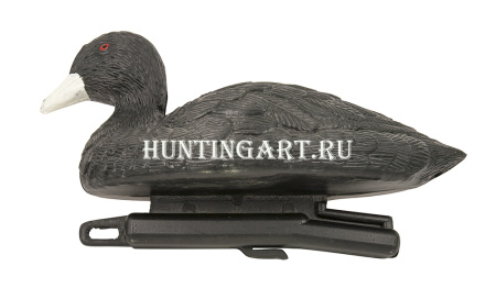 Чучело утки-лысухи плавающей, Birdland купить в магазине Хантингарт