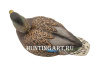 Картинка Комплект Avian-X Early Season Topflight Mallards (ранний сезон) из 6 чучел кряквы (4 селезня/2 утки) от интернет-магазина ХантингАрт Комплект Avian-X Early Season Topflight Mallards (ранний сезон) из 6 чучел кряквы (4 селезня/2 утки) купить в магазине Хантингарт