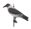 Чучело вороны купить в интернет-магазине ХантингАрт