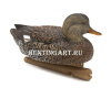 Картинка Комплект Avian-X Topflight Gadwall из 6 чучел серой утки (4 селезня/2 утка) от интернет-магазина ХантингАрт Комплект Avian-X Topflight Gadwall из 6 чучел серой утки (4 селезня/2 утка) купить в магазине Хантингарт