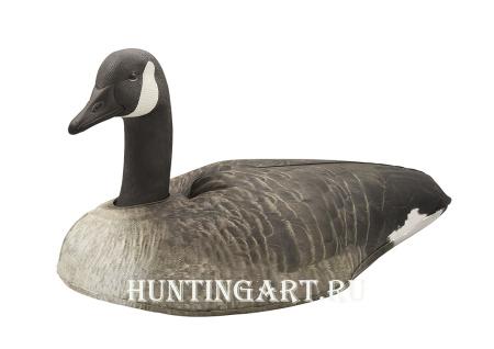 Картинка Надувные чучела Канадской казарки 6шт Cherokee Sport от интернет-магазина ХантингАрт Надувные чучела Канадской казарки 6шт Cherokee Sport купить в интернет-магазине ХантингАрт