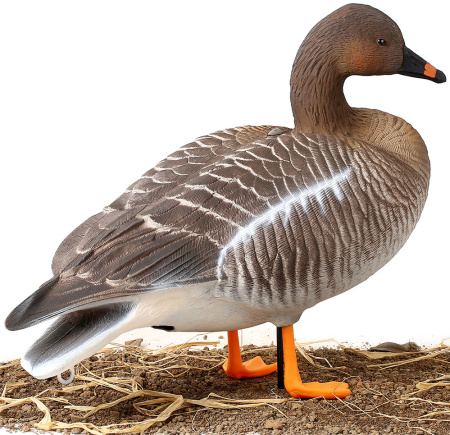 Комплект из 6 чучел гуся гуменника North Way Softplast Альфа (3 кормящихся,1 сторож,2 отдыхающих) купить в интернет-магазине ХантингАрт