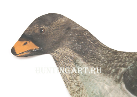 Надувные чучела гусей Гуменник (кормящийся / сторожевой) купить в интернет-магазине ХантингАрт