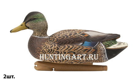 Картинка Комплект Avian-X Early Season Topflight Mallards (ранний сезон) из 6 чучел кряквы (4 селезня/2 утки) от интернет-магазина ХантингАрт Комплект Avian-X Early Season Topflight Mallards (ранний сезон) из 6 чучел кряквы (4 селезня/2 утки) купить в магазине Хантингарт