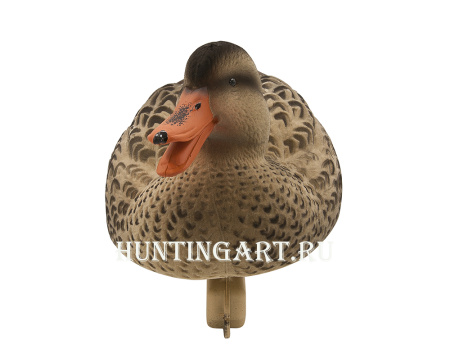 Комплект чучел Кряква FA Oversize флокированные, 6 шт (2 утки и 4 селезня) купить в магазине Хантингарт
