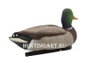 Комплект Avian-X Topflight Open Water Mallards из 6 кормящихся чучел кряквы купить в магазине Хантингарт
