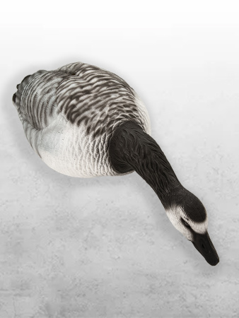 Казарка гусь Barnacles Goose, 10 шт (8+2) увеличенный размер купить в интернет-магазине ХантингАрт