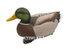 Комплект чучел Кряква Oversize Live Mallards Final Approach 12шт (5 уток+7 селезней) купить в магазине Хантингарт