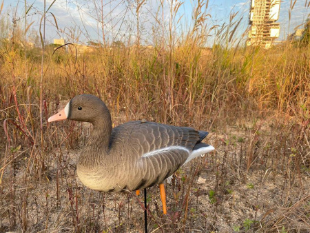 Белолобый гусь Elite 3D Speckbelly Goose, комплект 10 шт (8+2) мягкий пластик купить в интернет-магазине ХантингАрт