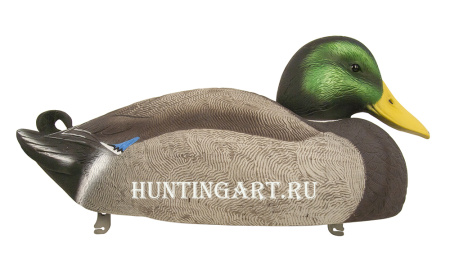 Картинка Комплект из 12 чучел Кряквы Hard Core (8 селезней/4 утки) от интернет-магазина ХантингАрт Комплект из 12 чучел Кряквы Hard Core (8 селезней/4 утки) купить в магазине Хантингарт