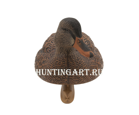 Комплект Avian-X Topflight Open Water Mallards из 6 кормящихся чучел кряквы купить в магазине Хантингарт