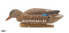 Картинка Комплект Avian-X Early Season Topflight Mallards (ранний сезон) из 6 чучел кряквы (4 селезня/2 утки) от интернет-магазина ХантингАрт Комплект Avian-X Early Season Topflight Mallards (ранний сезон) из 6 чучел кряквы (4 селезня/2 утки) купить в магазине Хантингарт