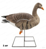 Чучела Белолобых гусей Greenhead Gear серия Pro-Grade XD 71588 (комплект 6 шт) купить в интернет-магазине ХантингАрт