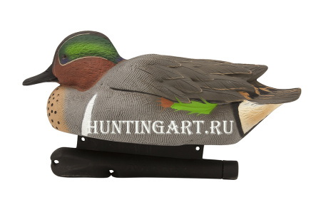 Комплект Avian-X из 6 чучел чирков - Topflight Green-Winged Teal (4 селезня/2 утки) купить в магазине Хантингарт