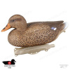Утка кряква (1 утка и 1 селезень) Classic Mallard купить в магазине Хантингарт