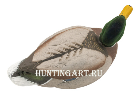 Чучела уток кряквы 12 шт (5 уток/7 крякв-флокированные головы) купить в магазине Хантингарт