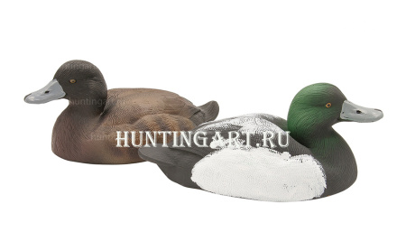 Картинка Сминаемое чучело Морская чернеть от интернет-магазина ХантингАрт Сминаемое чучело Морская чернеть купить в магазине Хантингарт