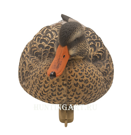 Комплект чучел Кряква Oversize Live Mallards Final Approach 12шт (5 уток+7 селезней) купить в магазине Хантингарт
