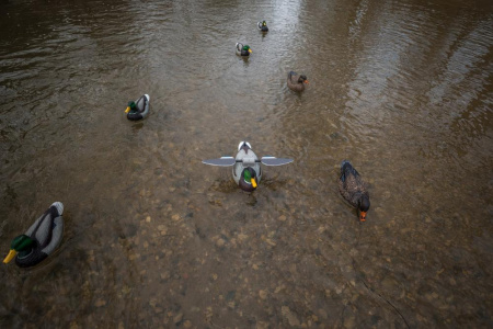 Чучело кряквы Lucky Duck с вращающимися крыльями Lucky HD Floater (селезень) купить в интерент-магазине Хантингарт