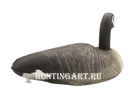 Картинка Надувные чучела Канадской казарки 6шт Cherokee Sport от интернет-магазина ХантингАрт Надувные чучела Канадской казарки 6шт Cherokee Sport купить в интернет-магазине ХантингАрт
