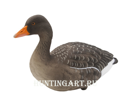 Комплект полнообъемных чучел FA HD fullbody Серого гуся (6 шт.) купить в интернет-магазине ХантингАрт