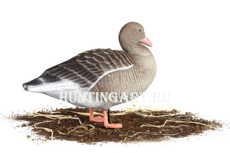 Комплект 10 шт (6 кормящихся, 2 сторожевых, 2 отдыхающих) сминаемых чучел Серого гуся 3D S-XPE North Way купить в интернет-магазине ХантингАрт