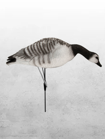 Казарка гусь Barnacles Goose, 10 шт (8+2) увеличенный размер купить в интернет-магазине ХантингАрт