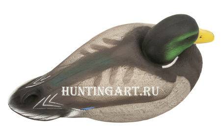 Картинка Комплект из 12 чучел Кряквы Hard Core (8 селезней/4 утки) от интернет-магазина ХантингАрт Комплект из 12 чучел Кряквы Hard Core (8 селезней/4 утки) купить в магазине Хантингарт