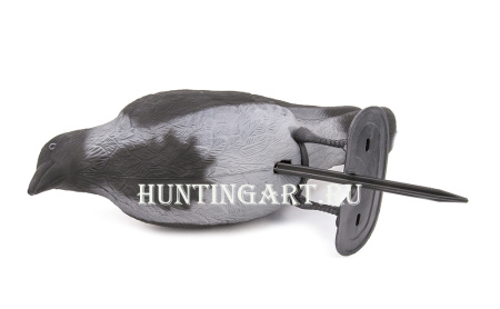 Чучело вороны купить в интернет-магазине ХантингАрт